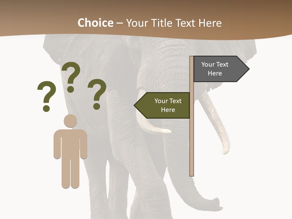 Front View One Africa PowerPoint Template