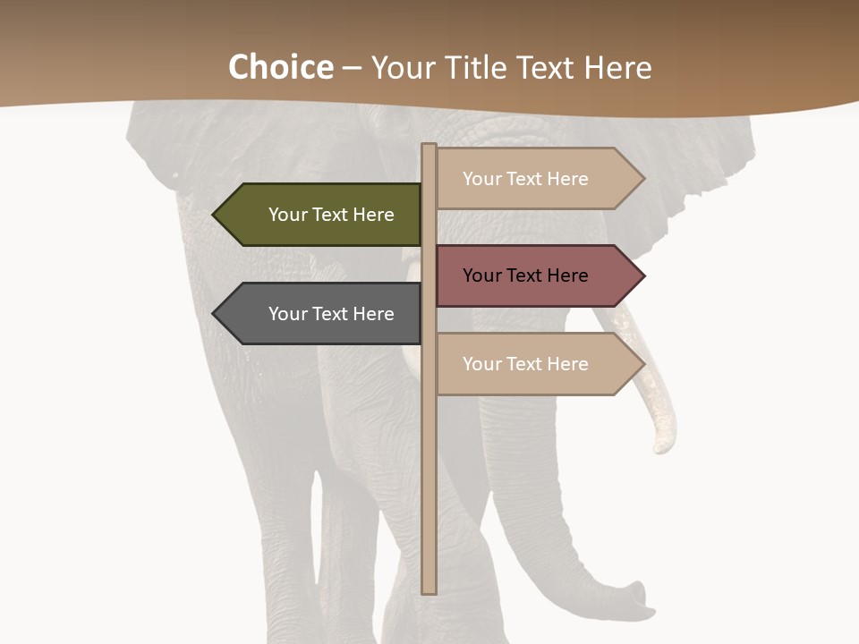Front View One Africa PowerPoint Template