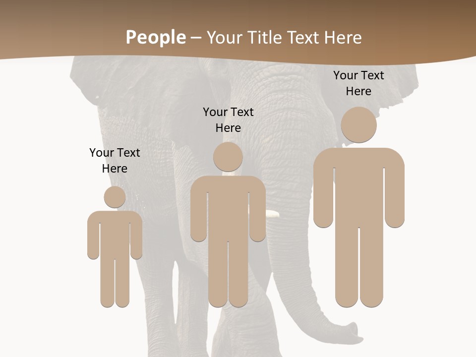 Front View One Africa PowerPoint Template