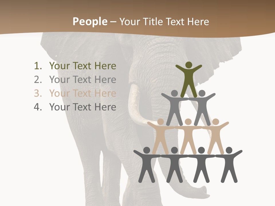 Front View One Africa PowerPoint Template