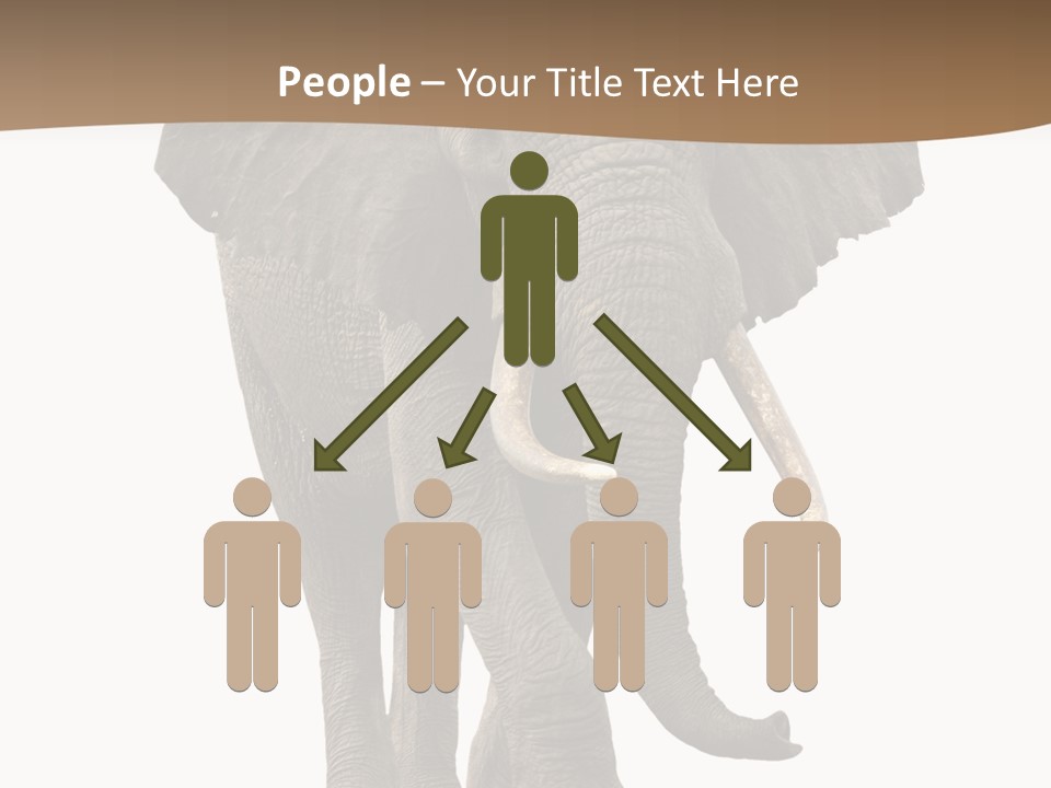 Front View One Africa PowerPoint Template