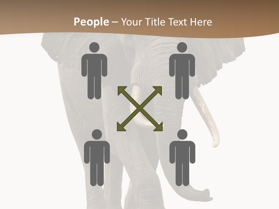Front View One Africa PowerPoint Template
