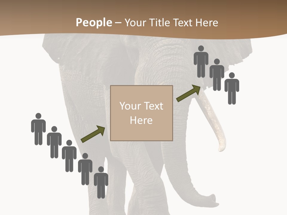 Front View One Africa PowerPoint Template