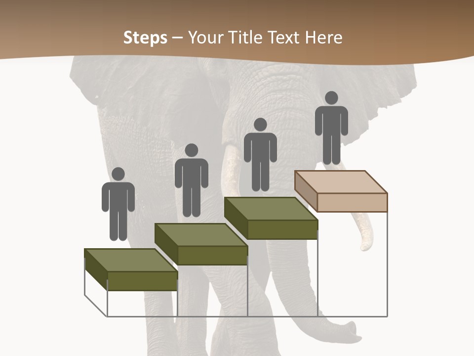 Front View One Africa PowerPoint Template