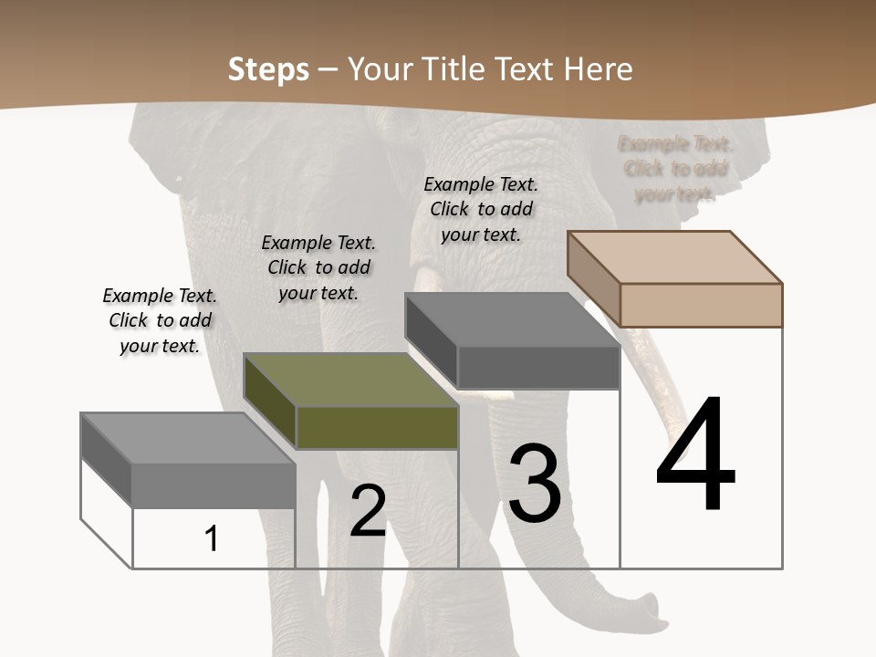 Front View One Africa PowerPoint Template