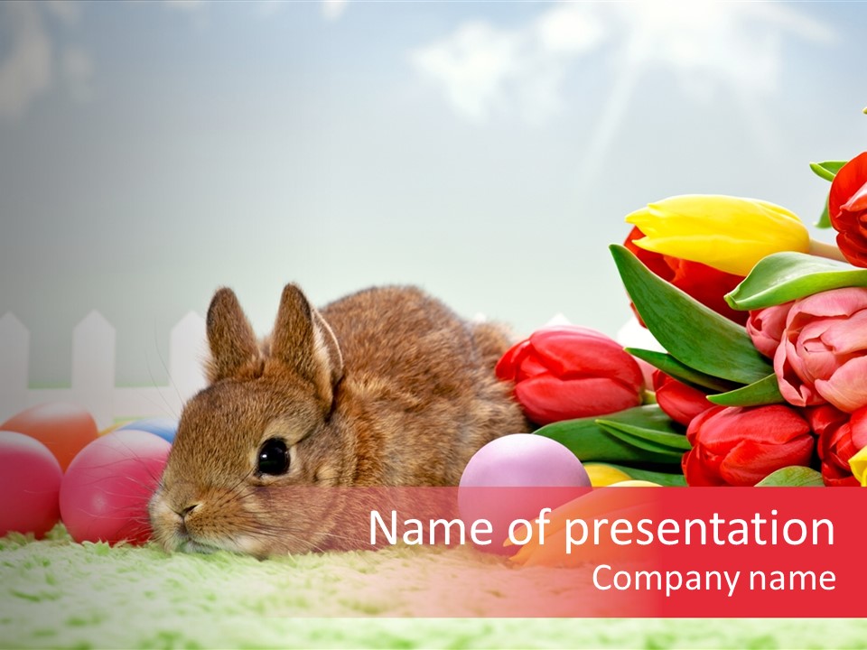 Himmel Osterhase Zwergkaninchen PowerPoint Template