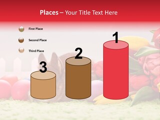 Himmel Osterhase Zwergkaninchen PowerPoint Template