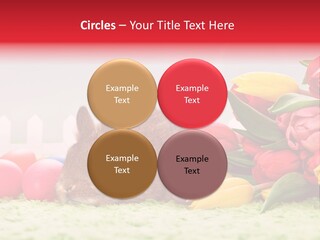 Himmel Osterhase Zwergkaninchen PowerPoint Template