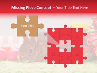 Himmel Osterhase Zwergkaninchen PowerPoint Template