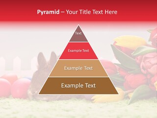 Himmel Osterhase Zwergkaninchen PowerPoint Template