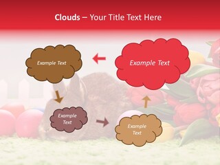 Himmel Osterhase Zwergkaninchen PowerPoint Template