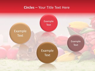 Himmel Osterhase Zwergkaninchen PowerPoint Template
