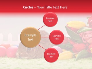 Himmel Osterhase Zwergkaninchen PowerPoint Template