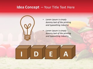 Himmel Osterhase Zwergkaninchen PowerPoint Template