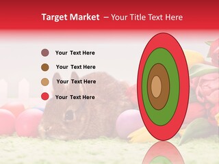 Himmel Osterhase Zwergkaninchen PowerPoint Template