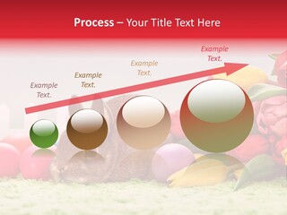 Himmel Osterhase Zwergkaninchen PowerPoint Template