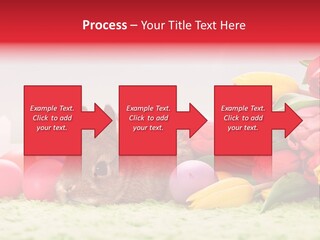 Himmel Osterhase Zwergkaninchen PowerPoint Template