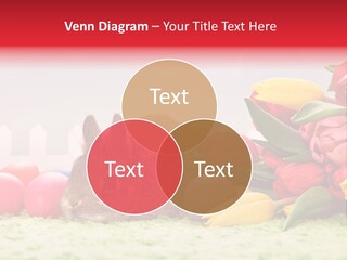Himmel Osterhase Zwergkaninchen PowerPoint Template