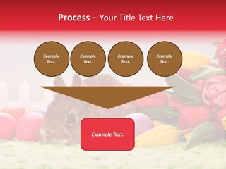 Himmel Osterhase Zwergkaninchen PowerPoint Template