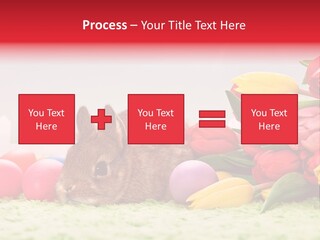 Himmel Osterhase Zwergkaninchen PowerPoint Template