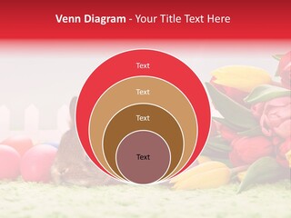 Himmel Osterhase Zwergkaninchen PowerPoint Template