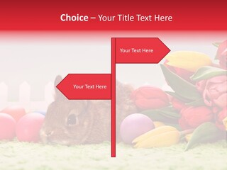 Himmel Osterhase Zwergkaninchen PowerPoint Template