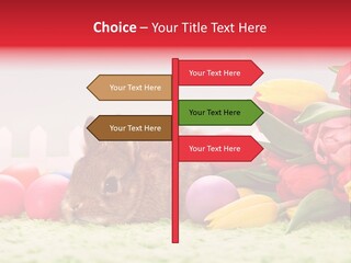 Himmel Osterhase Zwergkaninchen PowerPoint Template