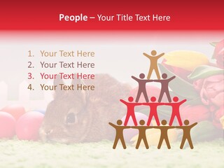 Himmel Osterhase Zwergkaninchen PowerPoint Template