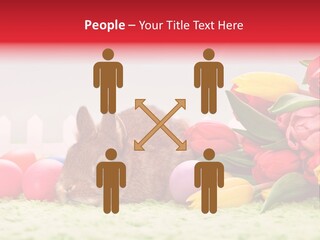 Himmel Osterhase Zwergkaninchen PowerPoint Template