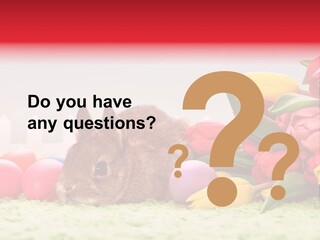 Himmel Osterhase Zwergkaninchen PowerPoint Template