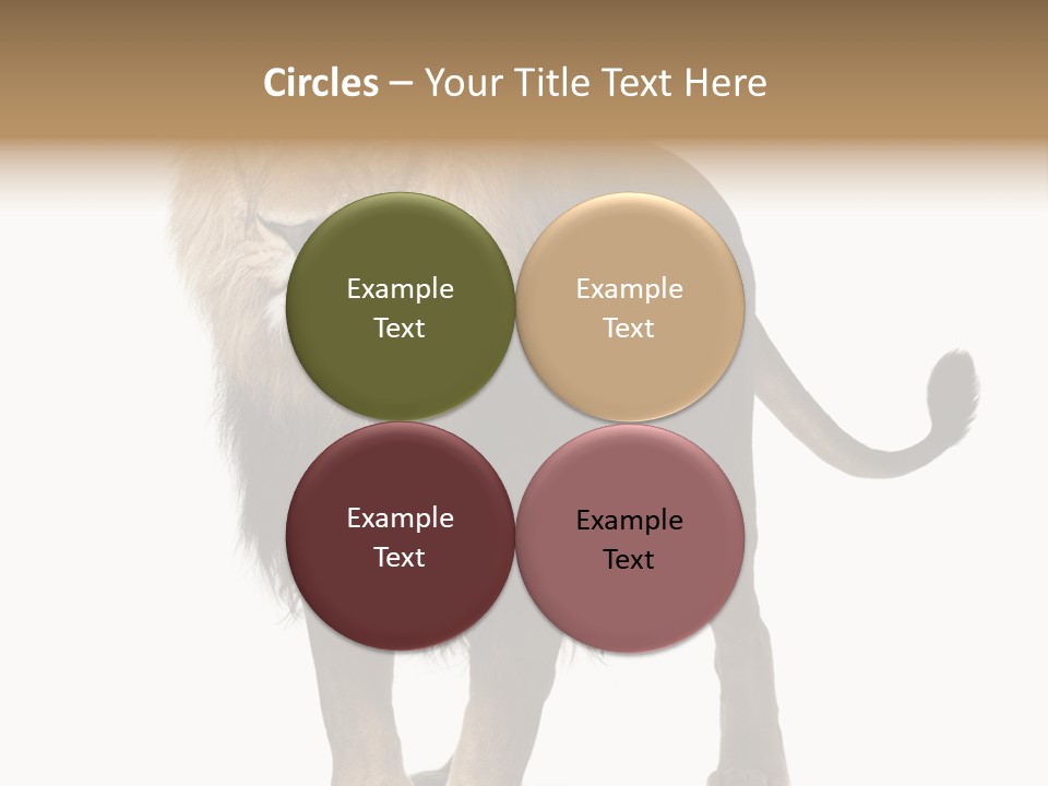 Full Length White Mane PowerPoint Template