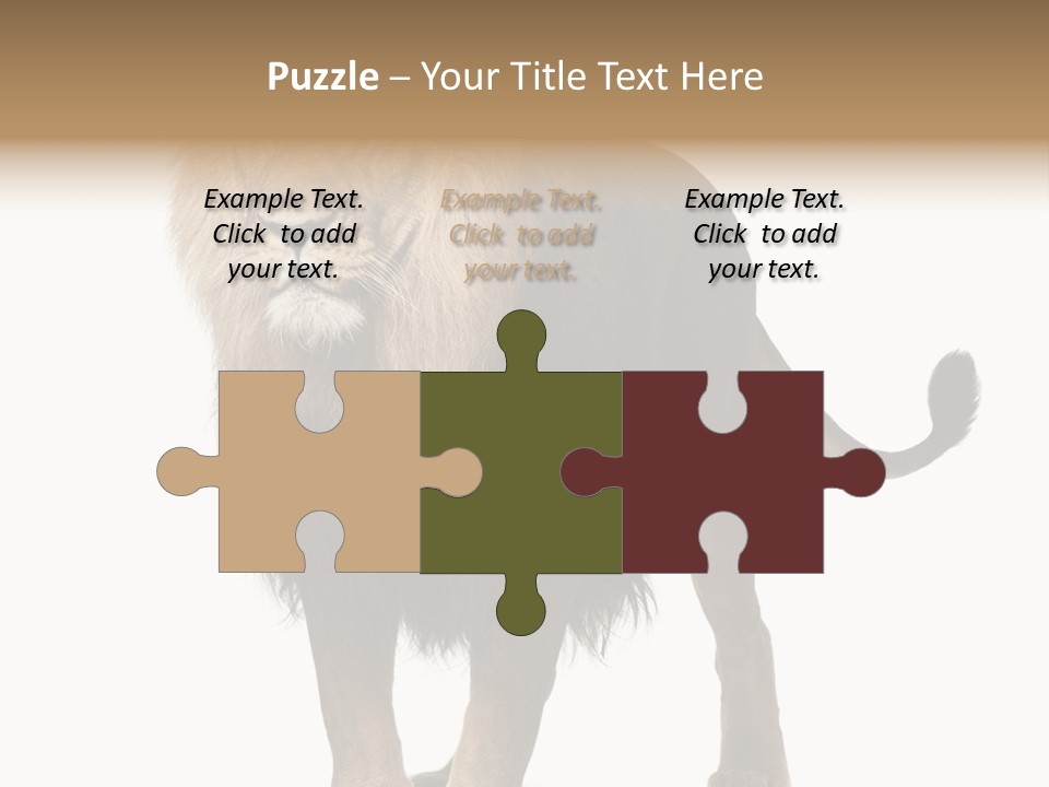 Full Length White Mane PowerPoint Template