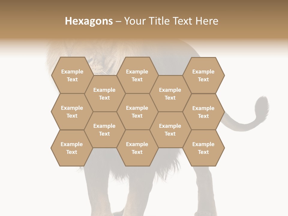 Full Length White Mane PowerPoint Template