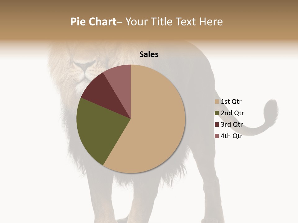 Full Length White Mane PowerPoint Template