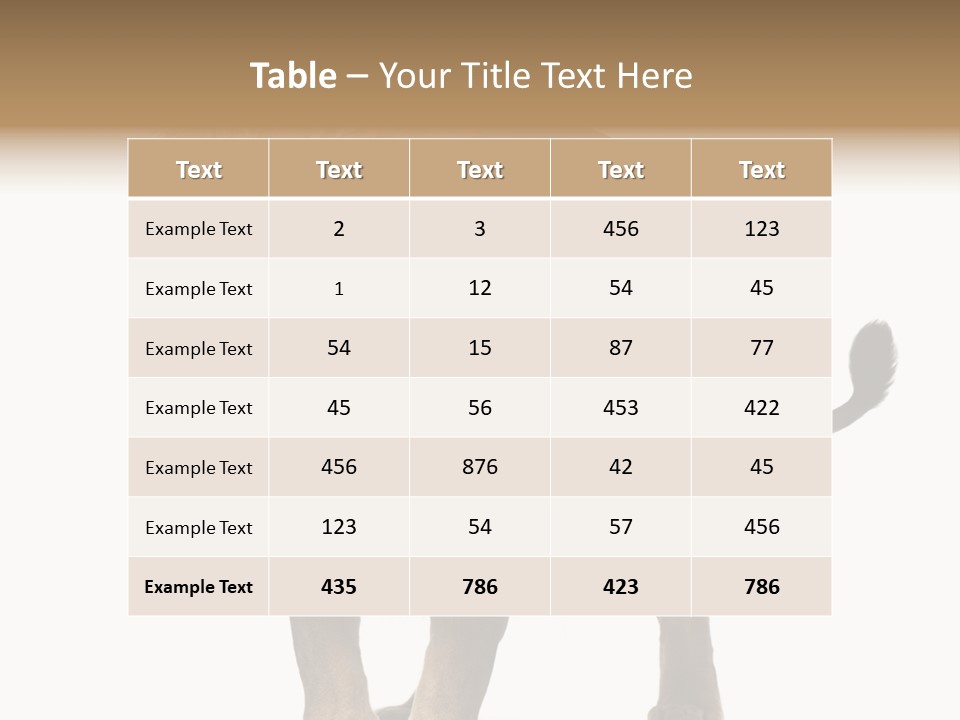 Full Length White Mane PowerPoint Template