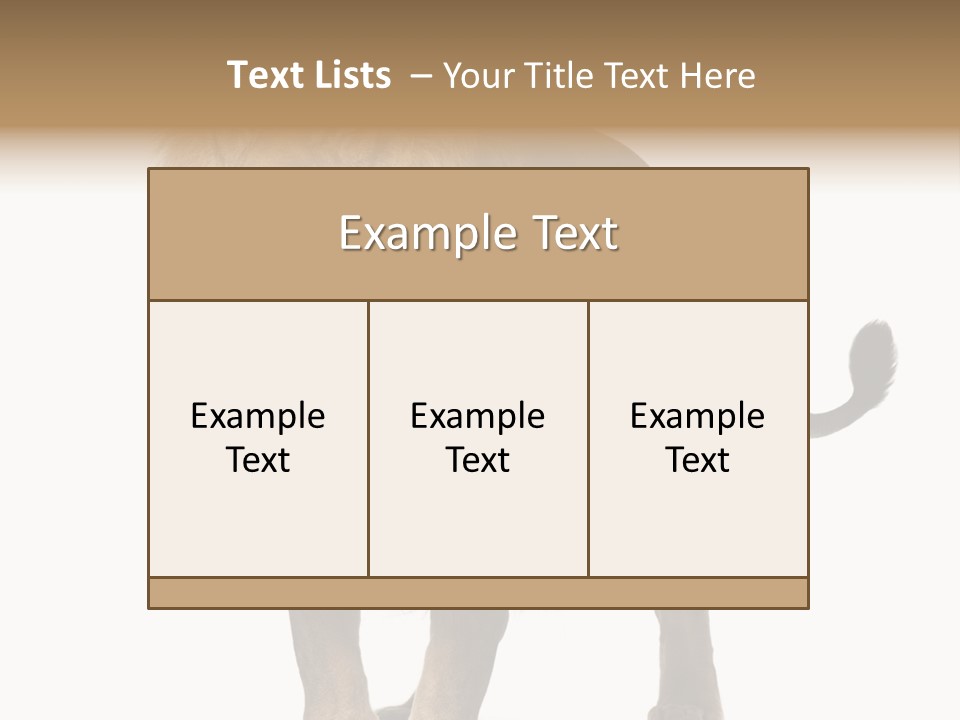 Full Length White Mane PowerPoint Template
