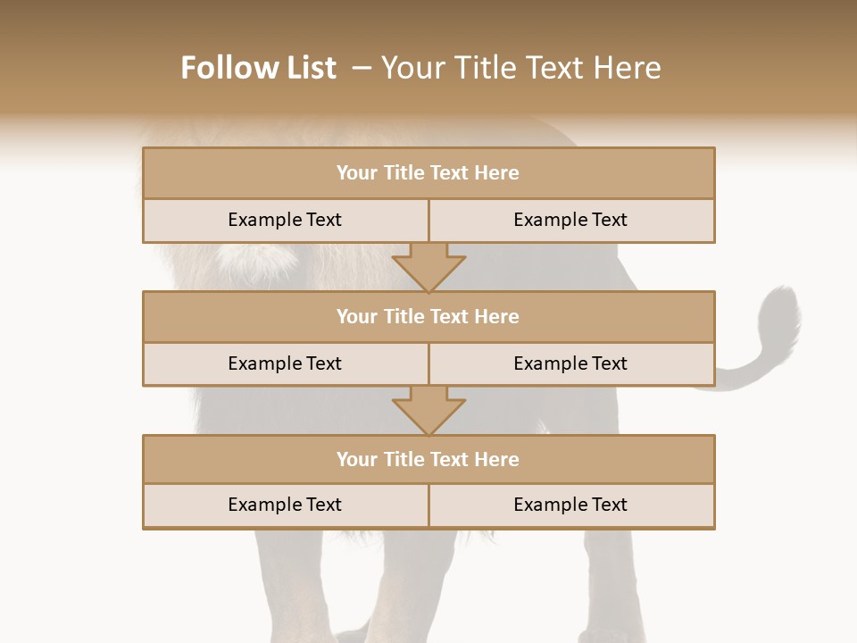 Full Length White Mane PowerPoint Template