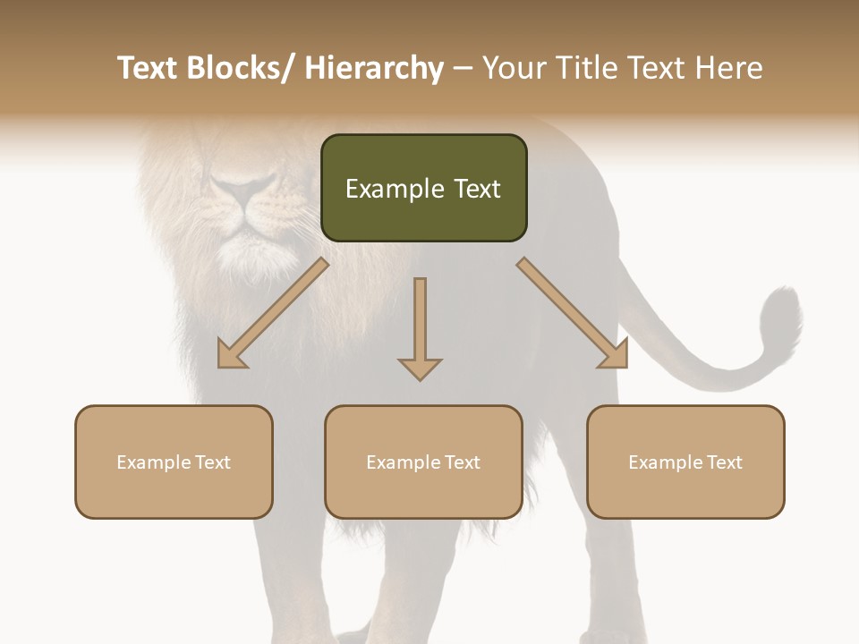 Full Length White Mane PowerPoint Template