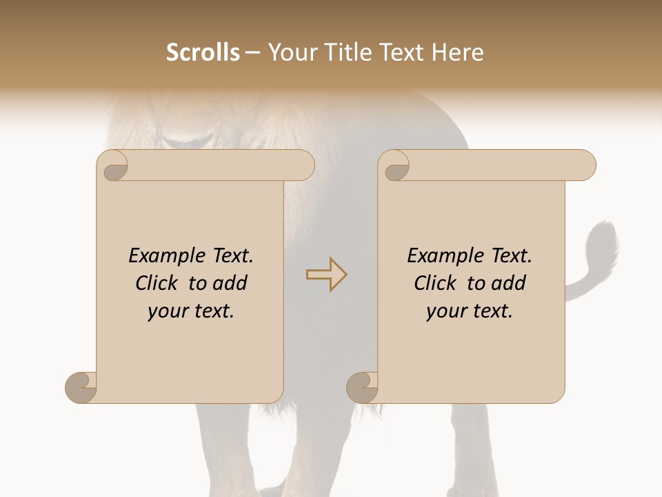 Full Length White Mane PowerPoint Template