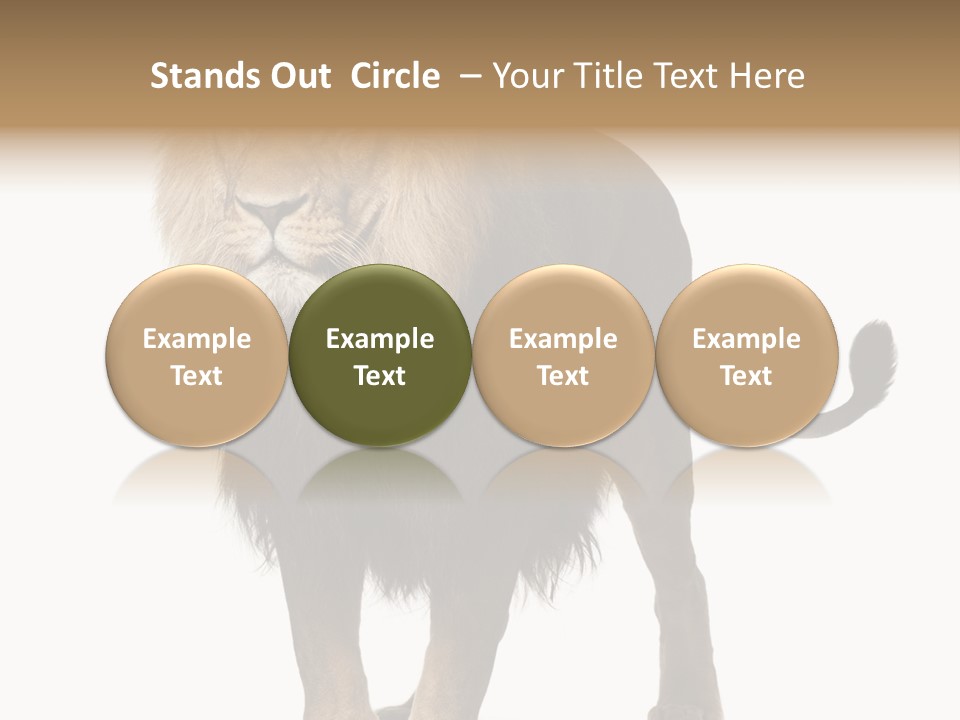 Full Length White Mane PowerPoint Template