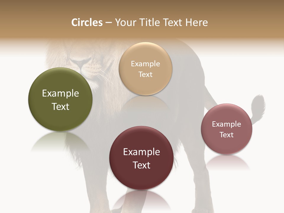 Full Length White Mane PowerPoint Template