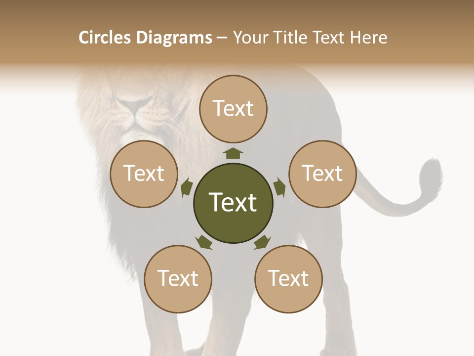 Full Length White Mane PowerPoint Template