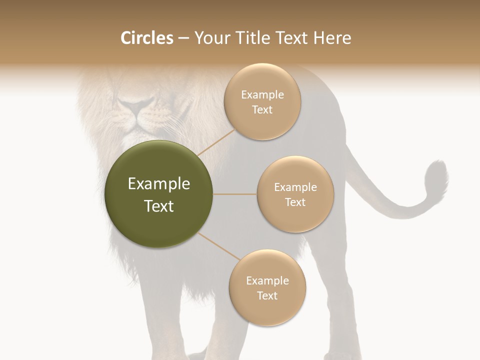 Full Length White Mane PowerPoint Template