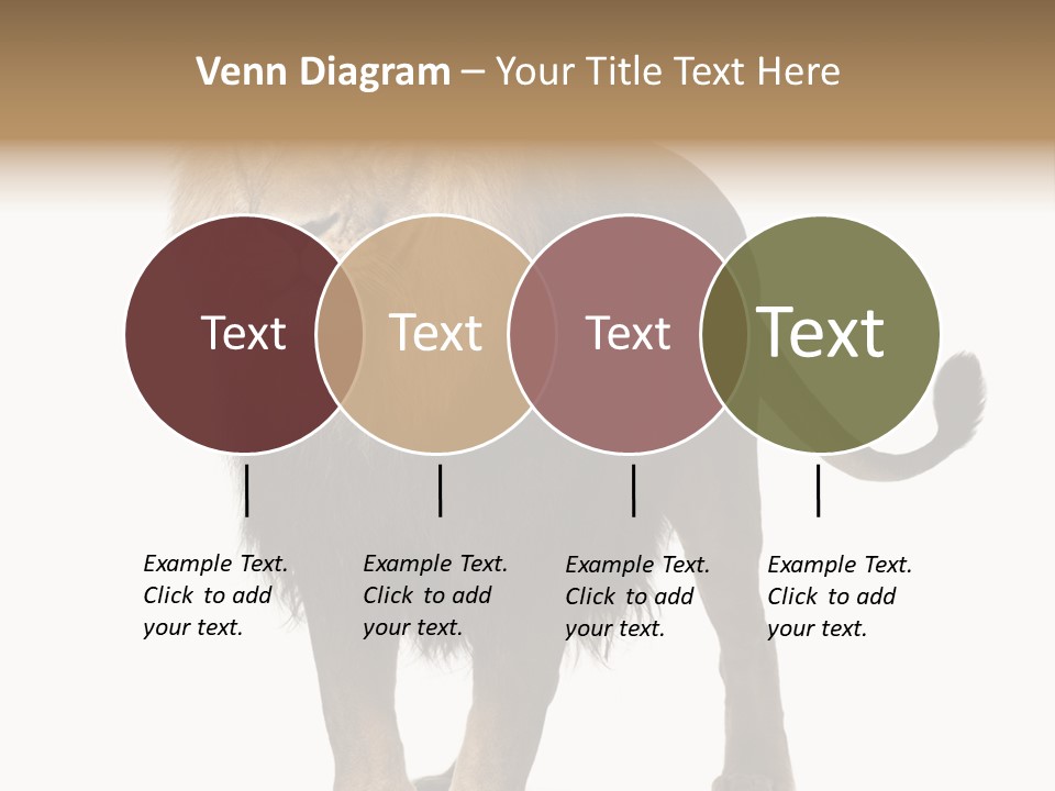 Full Length White Mane PowerPoint Template