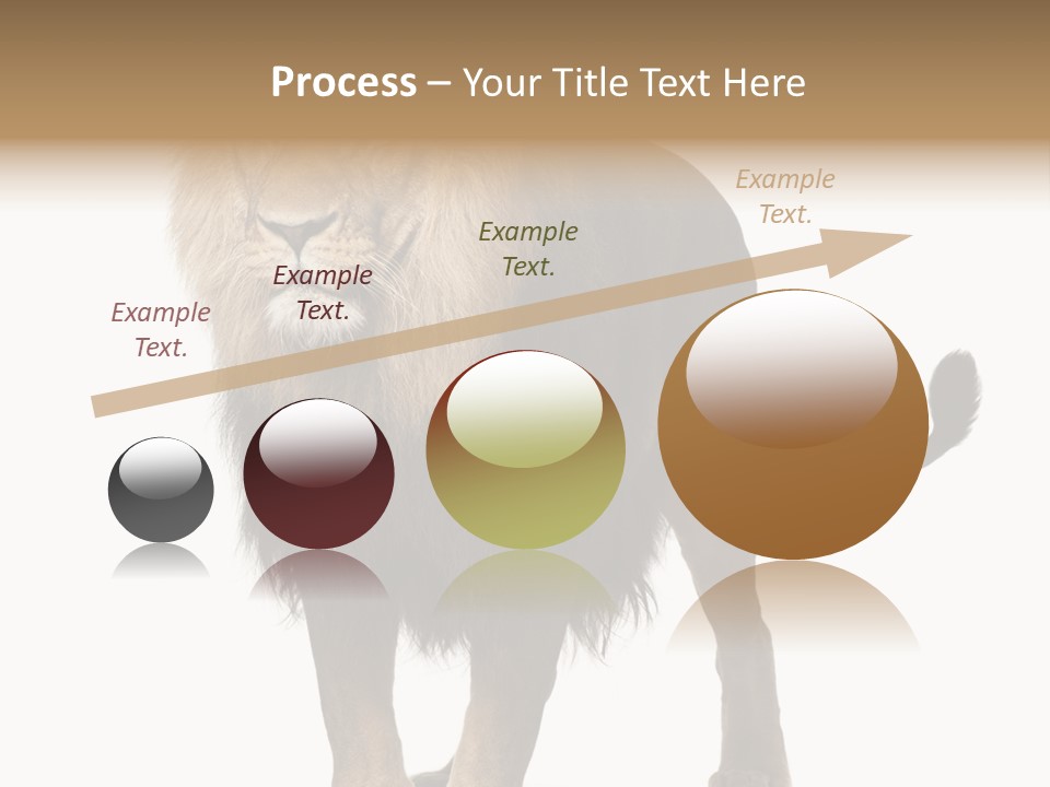 Full Length White Mane PowerPoint Template