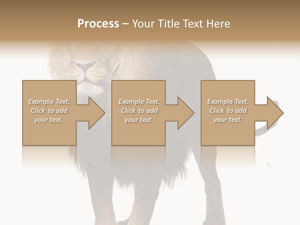 Full Length White Mane PowerPoint Template