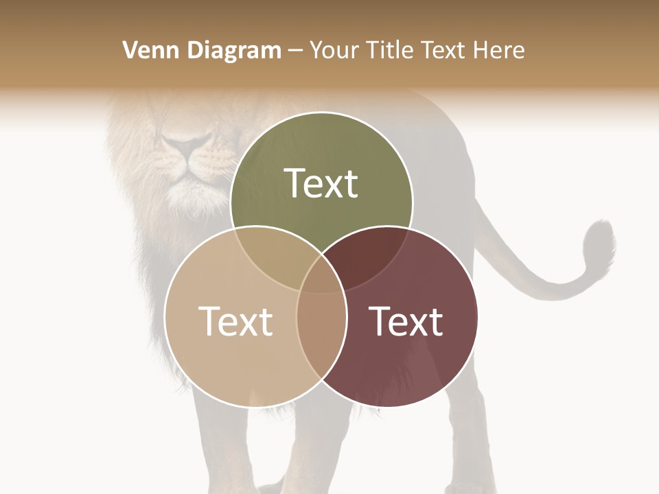 Full Length White Mane PowerPoint Template