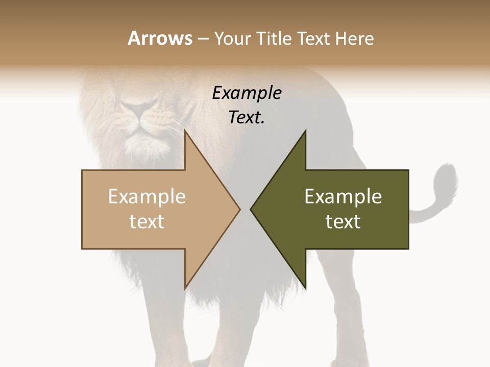 Full Length White Mane PowerPoint Template