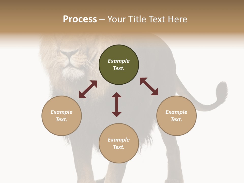 Full Length White Mane PowerPoint Template