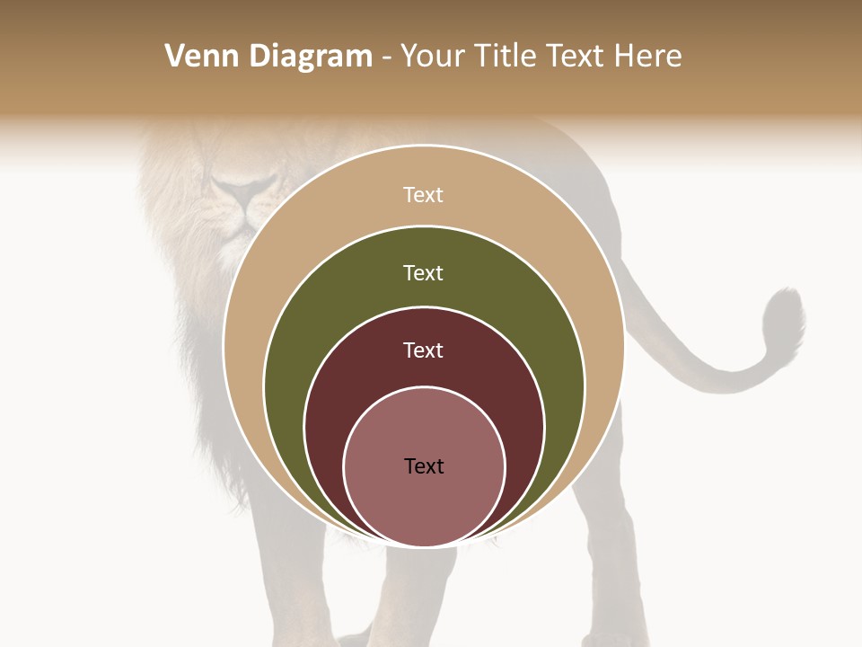 Full Length White Mane PowerPoint Template